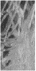 clean_fiber.gif (3086 bytes)