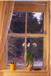 air cleaners remove allergens