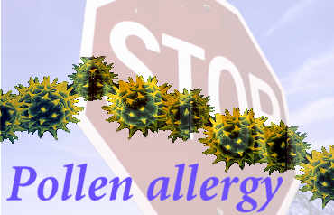 pollen_allergy.jpg (17238 bytes)